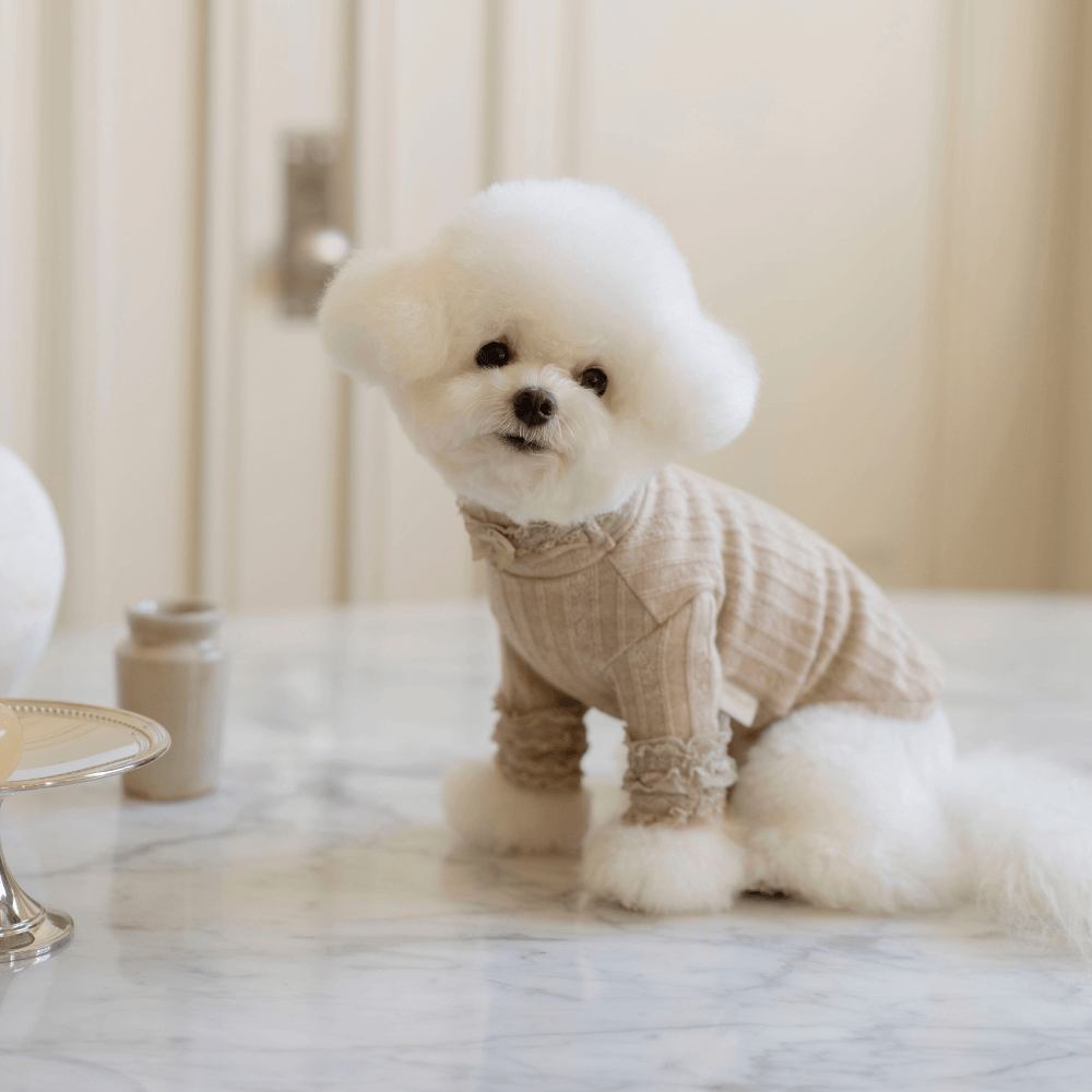 7th Limited Edition Lace Turtleneck(Latte)