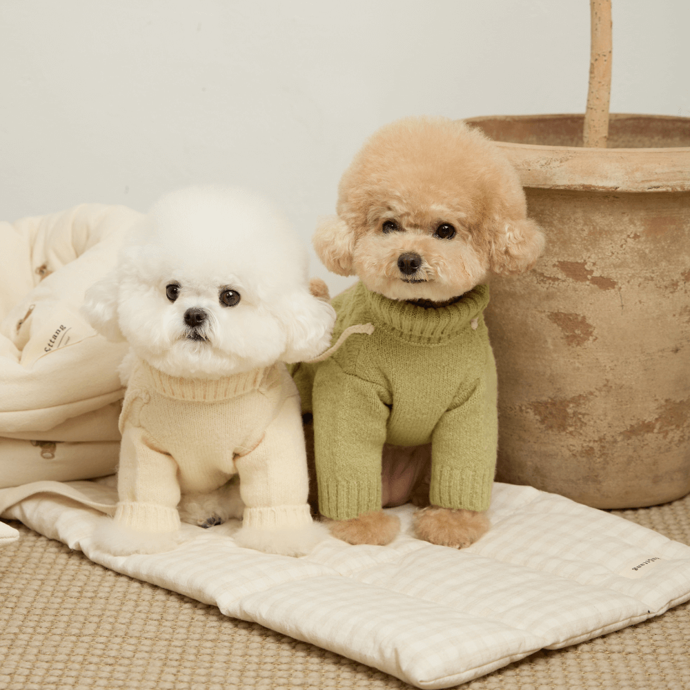 ポケットトイニットプルオーバー(オリーブ)