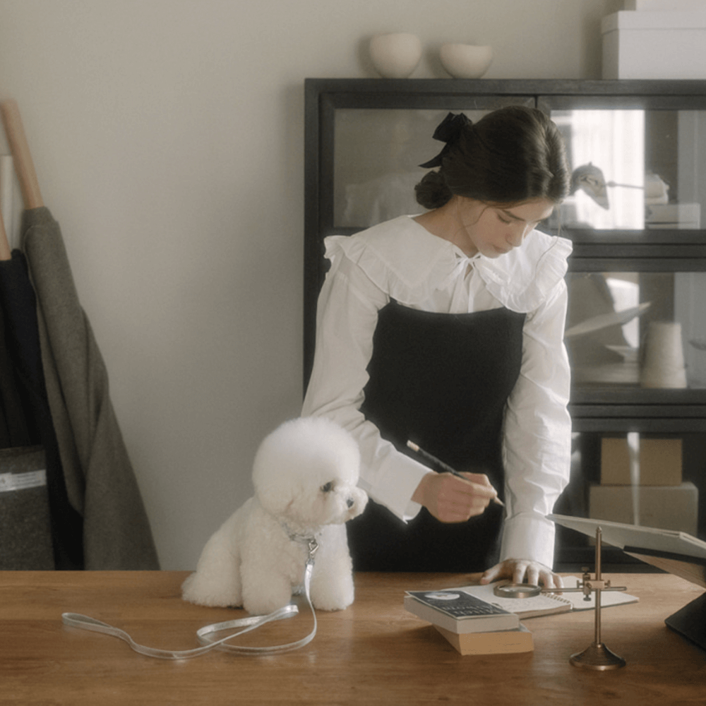 Lumiere Leash (Silver)