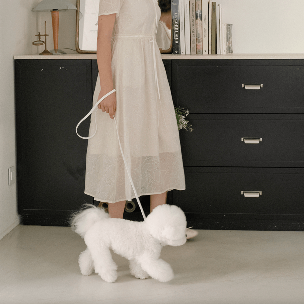 Lumiere Leash(White)