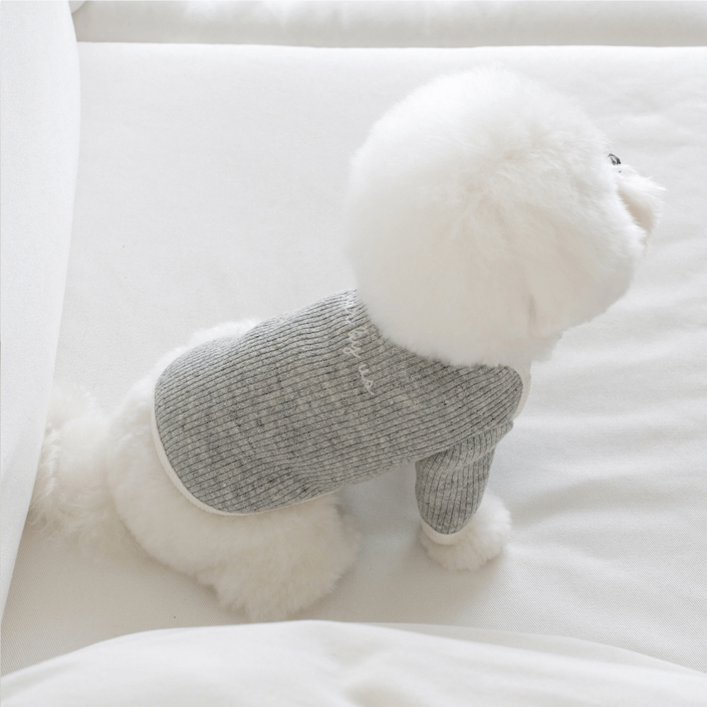 palette wool knit top (light mellange)