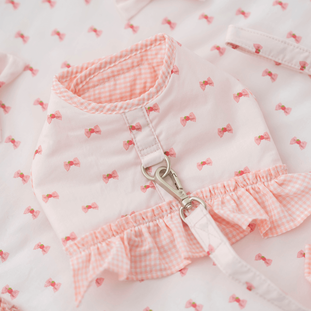 XOXO Candy Leash(Pink)