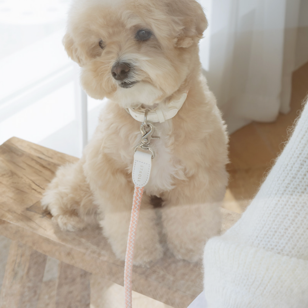 Rope Leash (Coral)