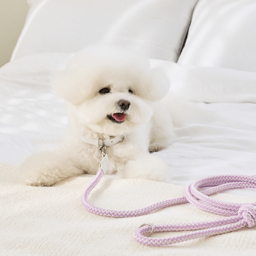 Classic Leash 1.8m 手持ちリード(ライラック)