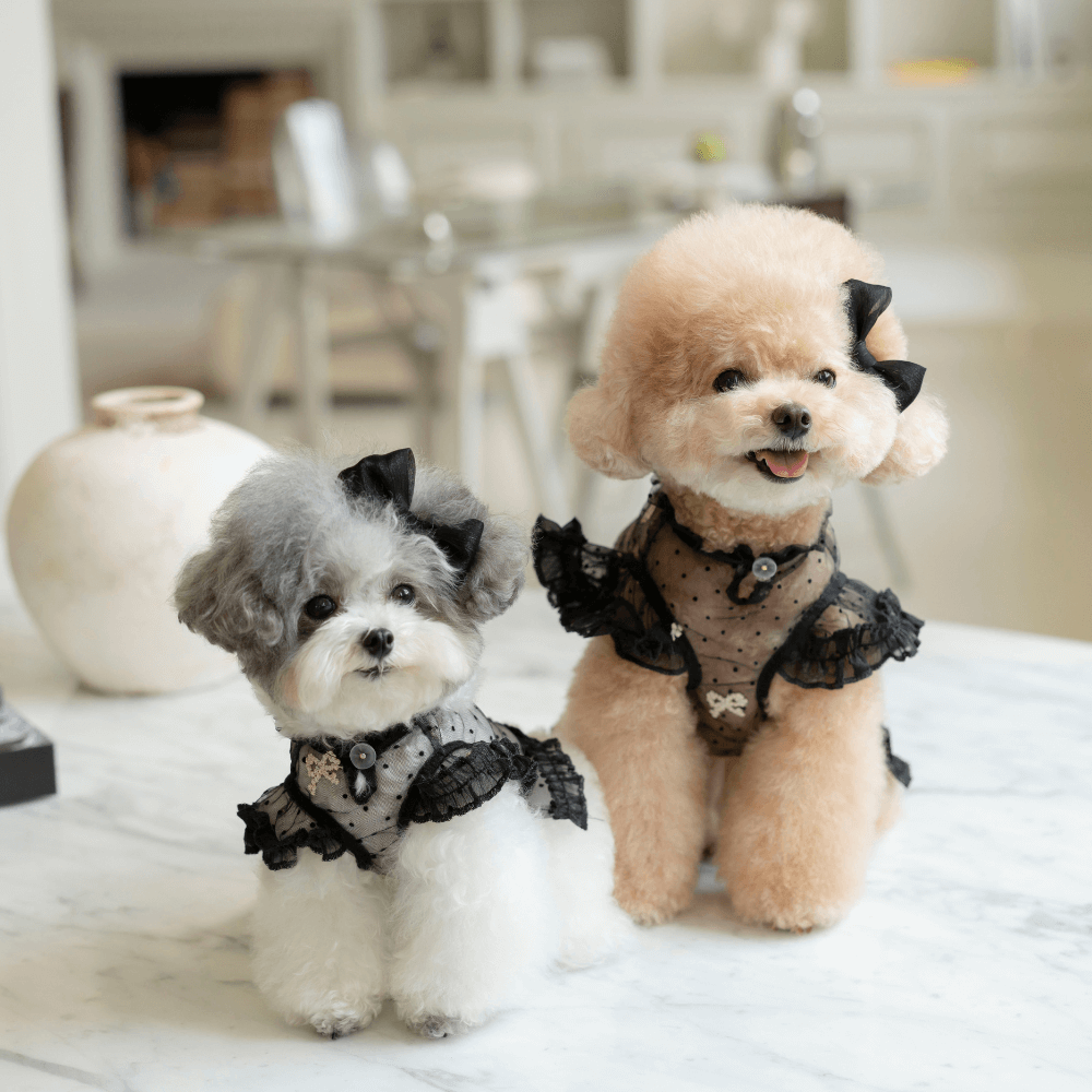 Odette Blouse(Sheer Black)