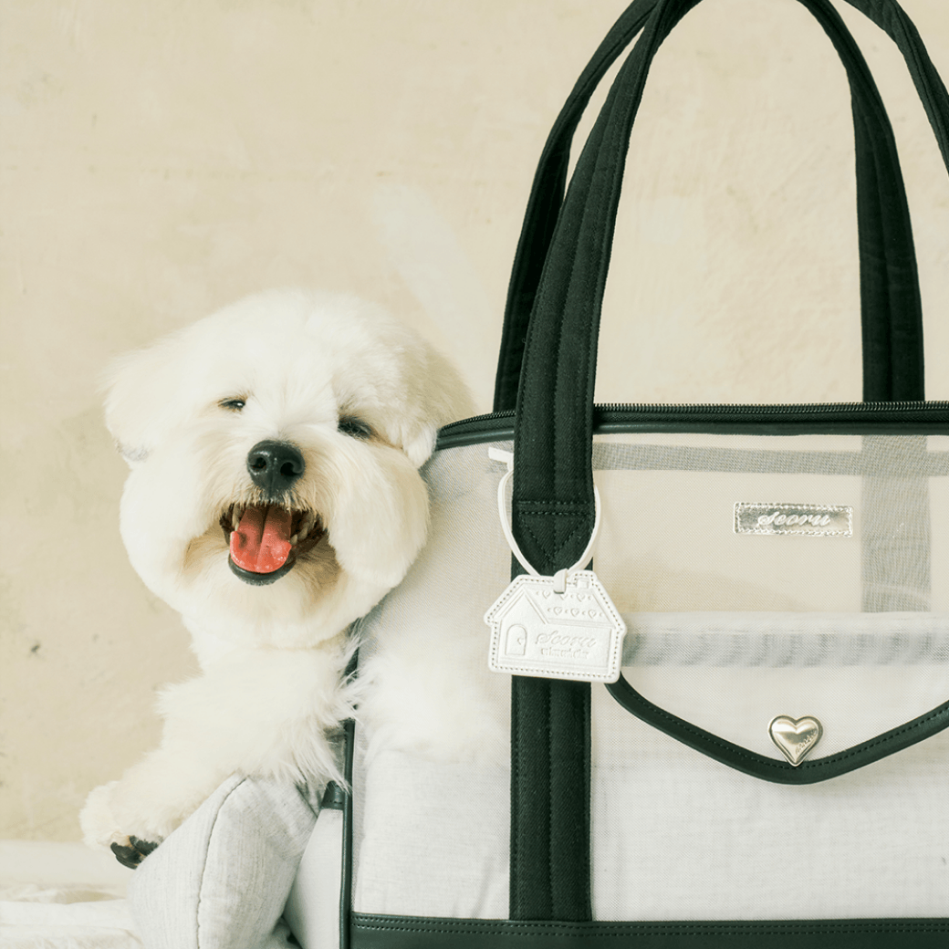 Mesh Ballon Bag - Black & Grey(Seoru)