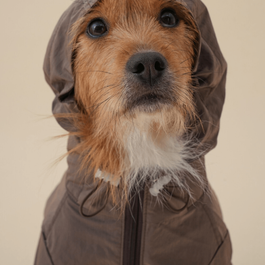 Eco Anorak (2color)