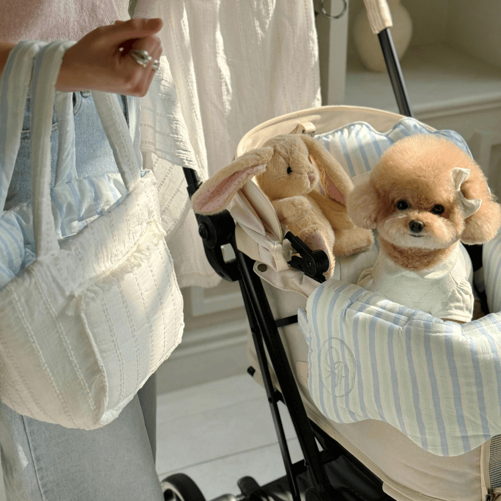 Fluffy Reversible Buggy Walk Bag (Candy Stripe / Poppy Flower)