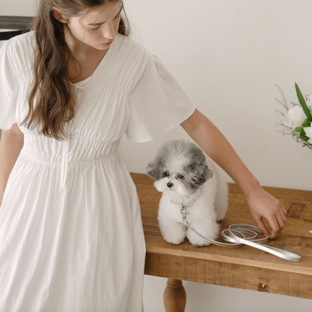 Lumiere Leash (Silver)