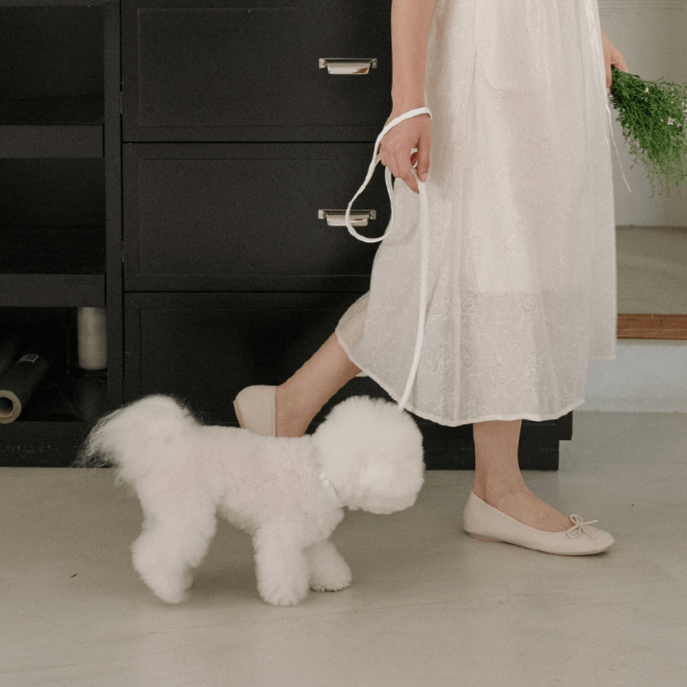 Lumiere Leash(White)