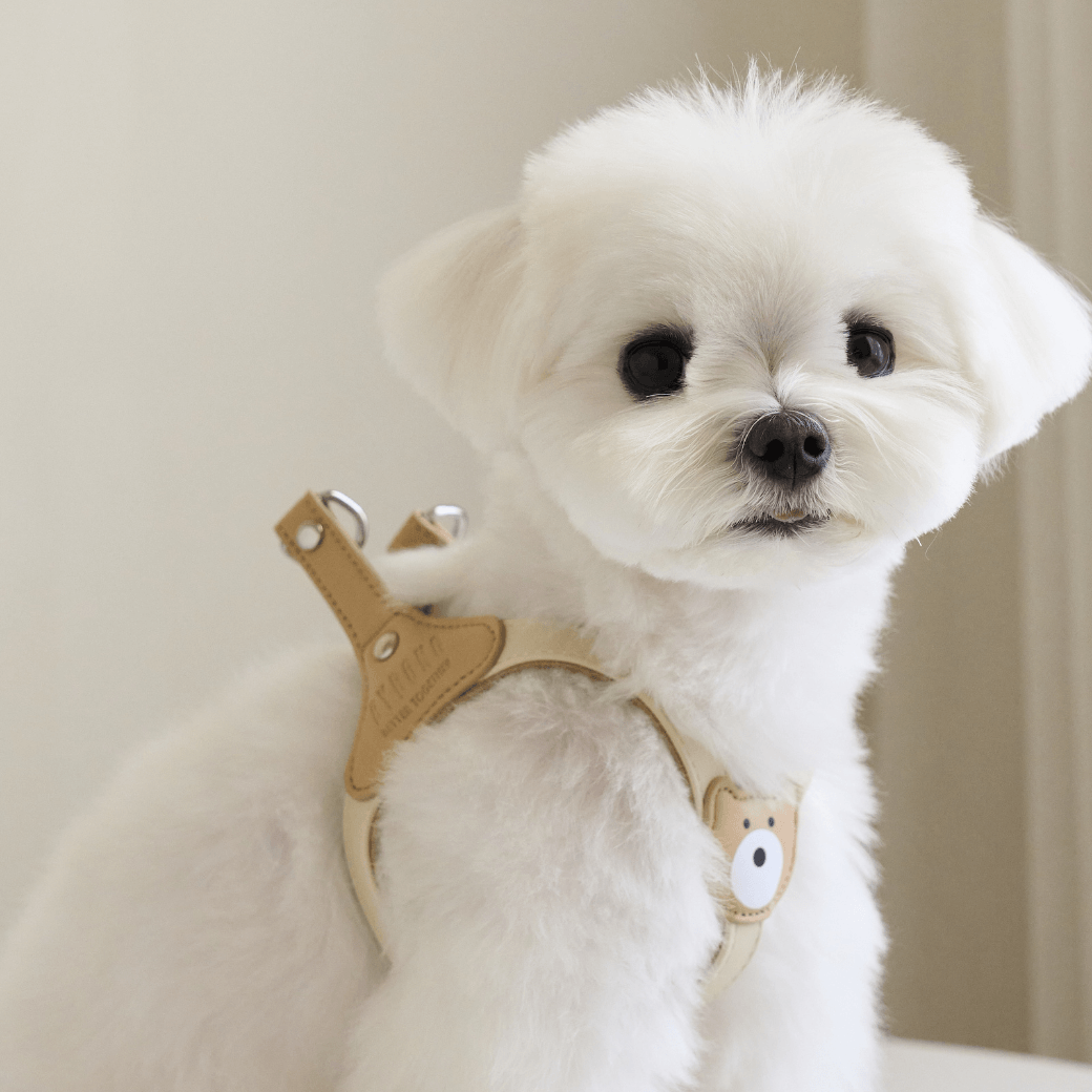 BEAR HARNESS(Ivory)