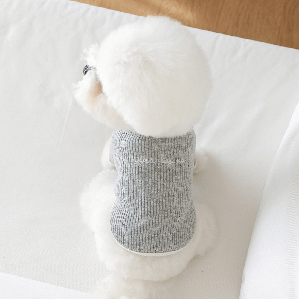 palette wool knit top (light mellange)