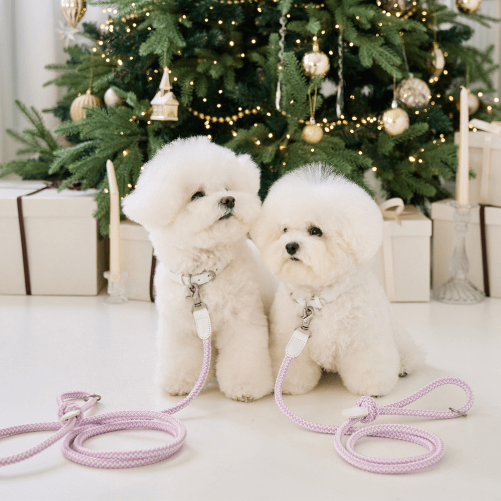 Classic Leash 1.8m 手持ちリード(ライラック)