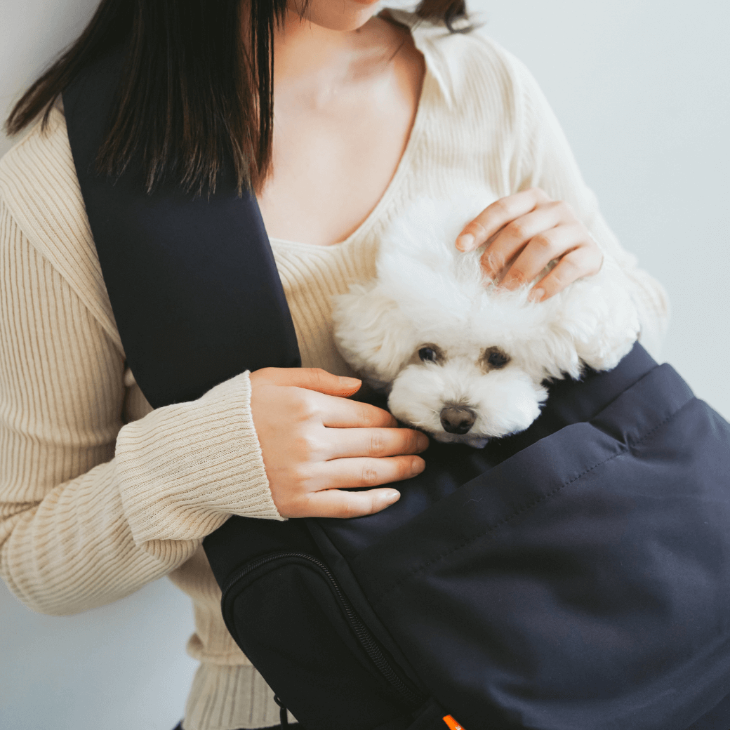 CROSS CARRY BAG(2COLOR)