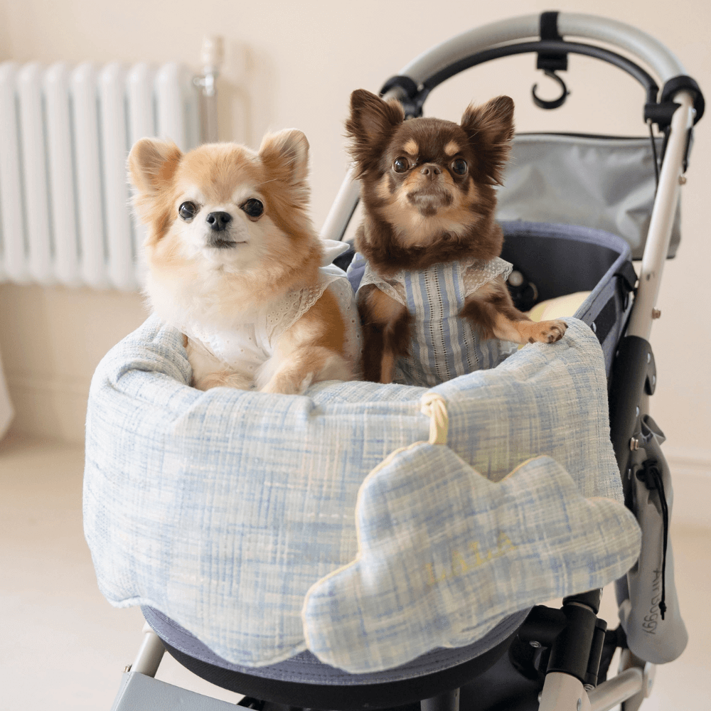 【予約】Blue Summer Tweed Buggy Guard