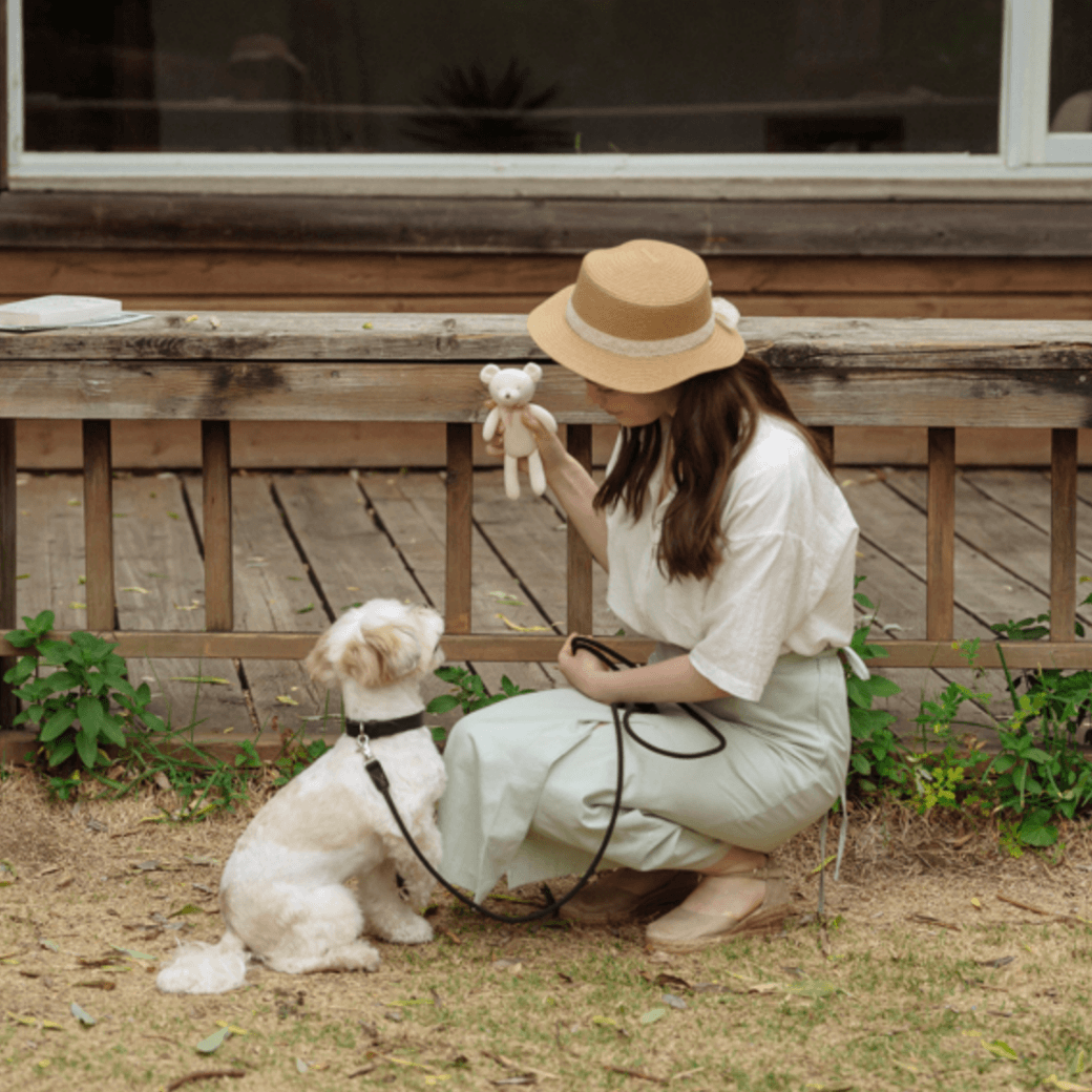 Rope Leash (Black)