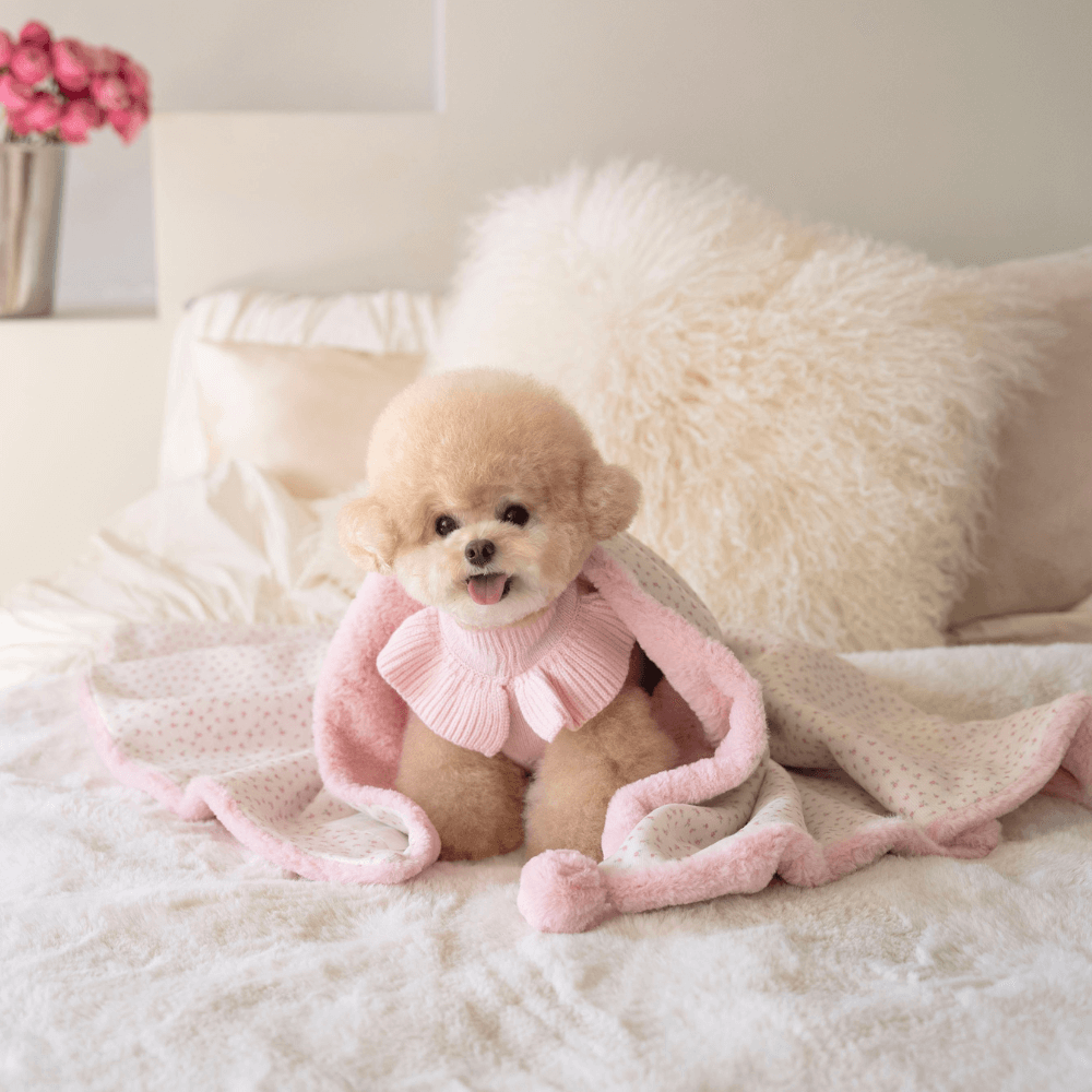 Winter Snuggle Blanket (2color)