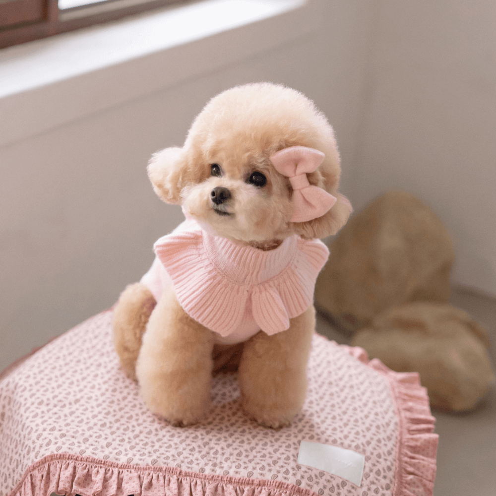 Frill Knit(Strawberry Pink)