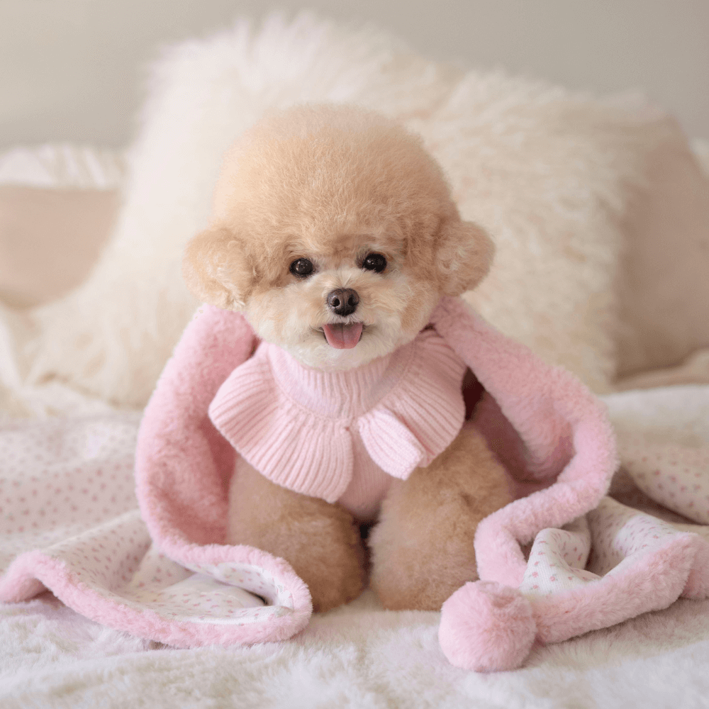 Winter Snuggle Blanket (2color)