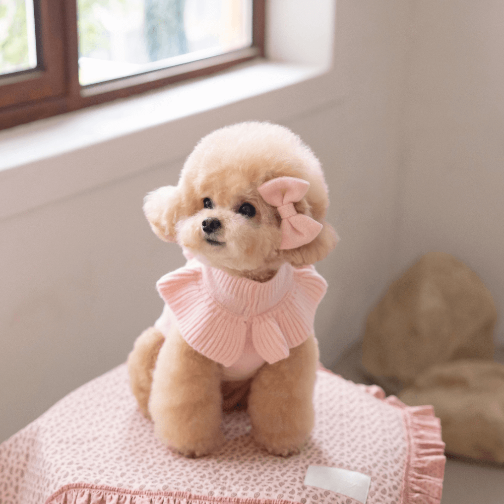 Frill Knit(Strawberry Pink)