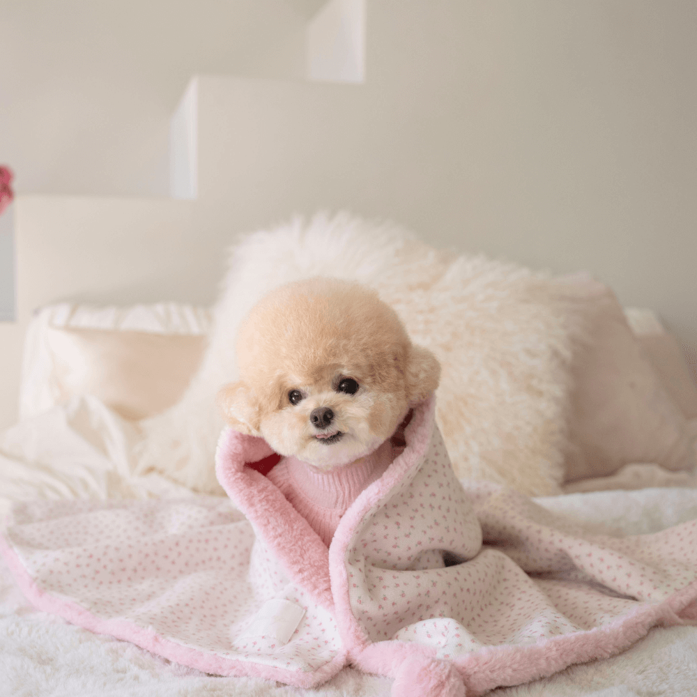 Winter Snuggle Blanket (2color)