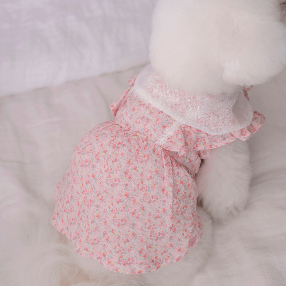 【予約】New Fairy Dress