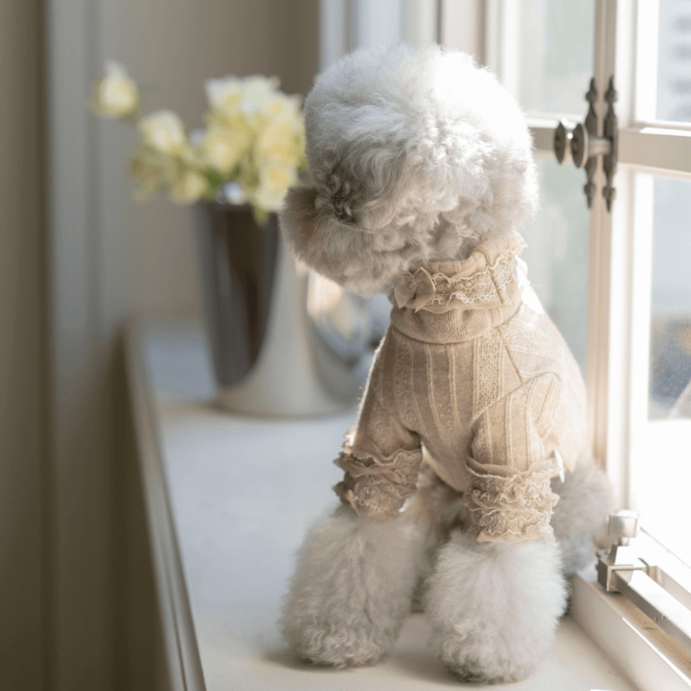 7th Limited Edition Lace Turtleneck(Latte)