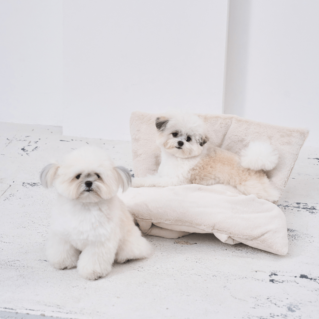 【10/22 20:00 販売開始】wide bag - suede peach ivory(APERTY)