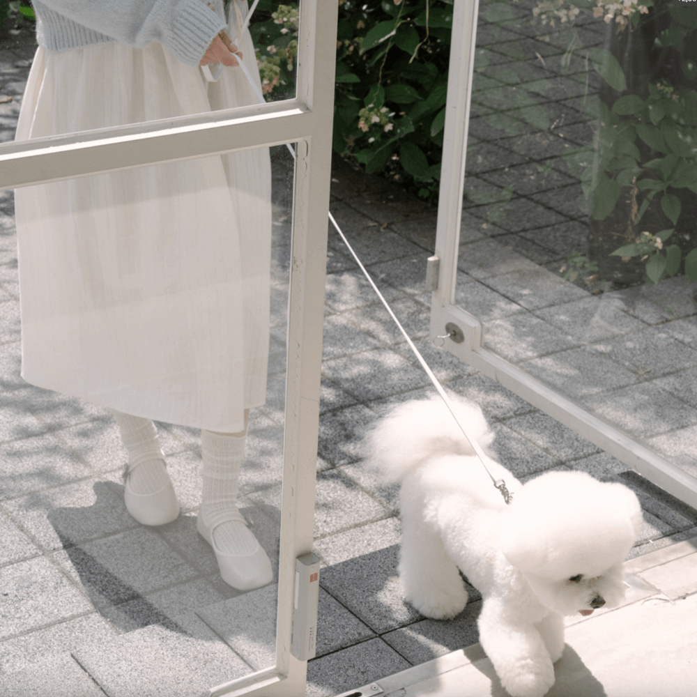 Lumiere Leash(White)