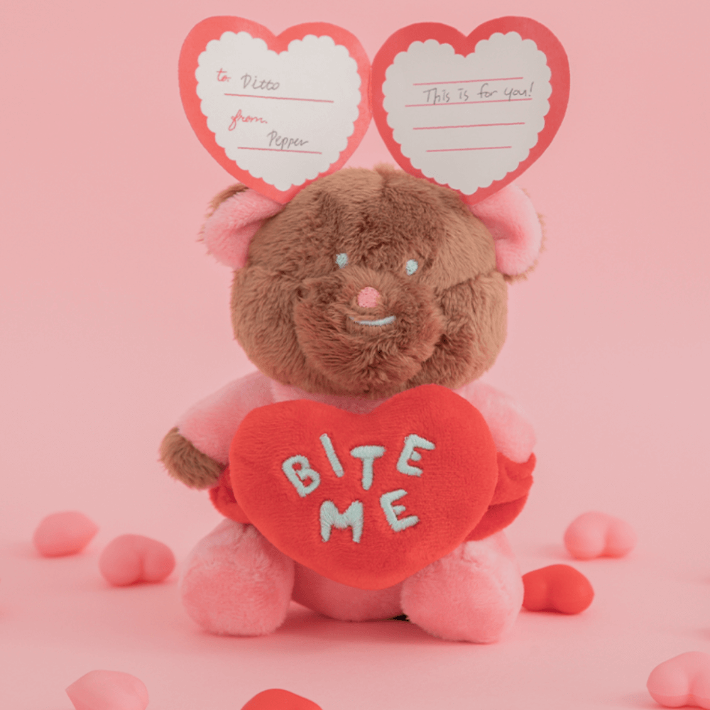 ラブベアノーズワークTOY