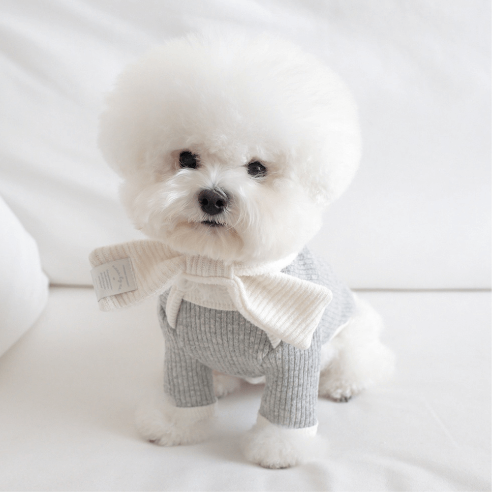 palette wool knit top (light mellange)