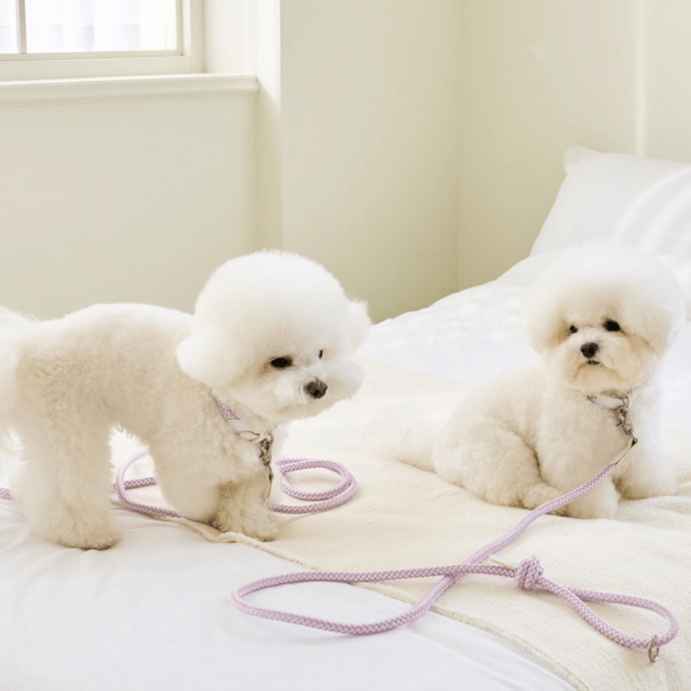 Classic Leash 1.8m 手持ちリード(ライラック)