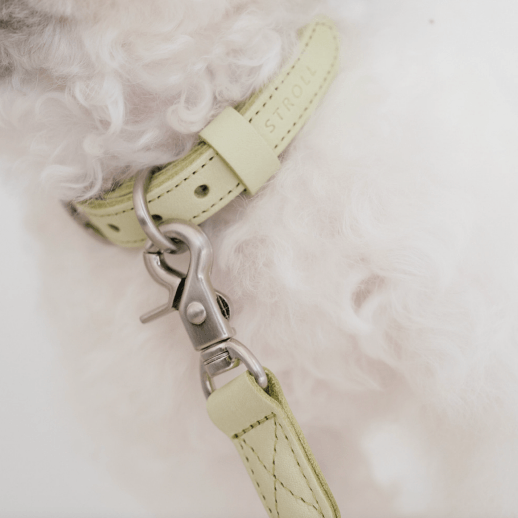 Rope Leash (Pistachio)