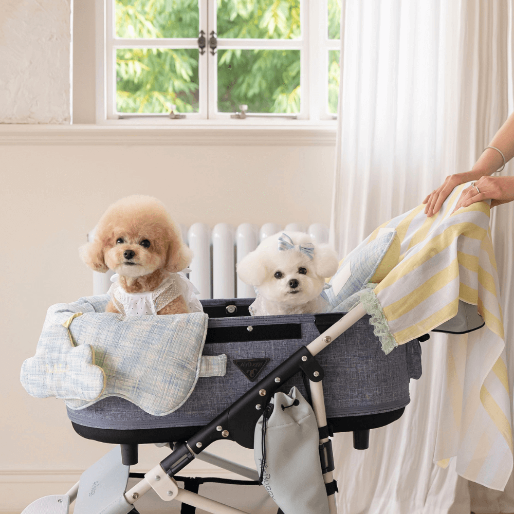 【予約】Blue Summer Tweed Buggy Guard