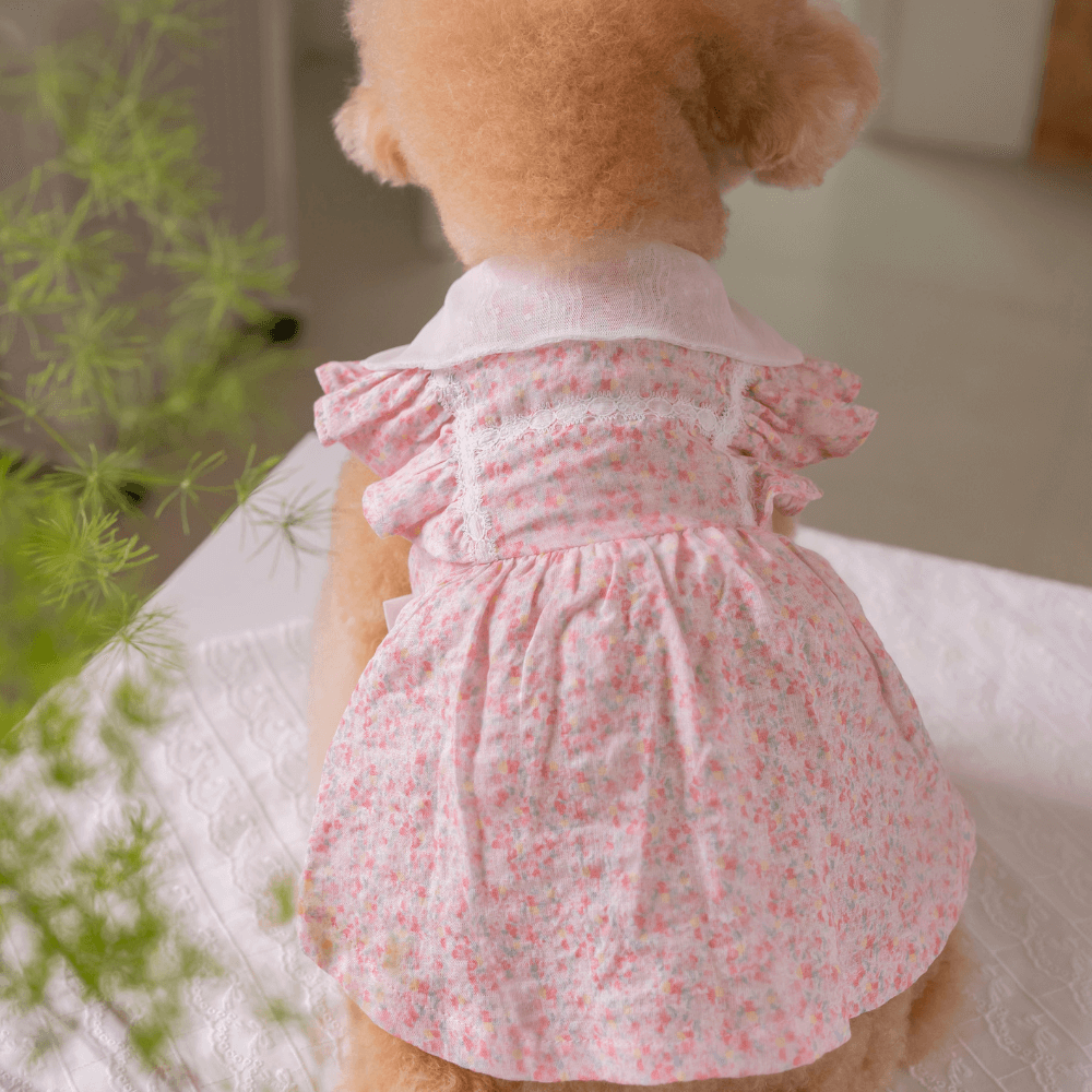 【予約】New Fairy Dress