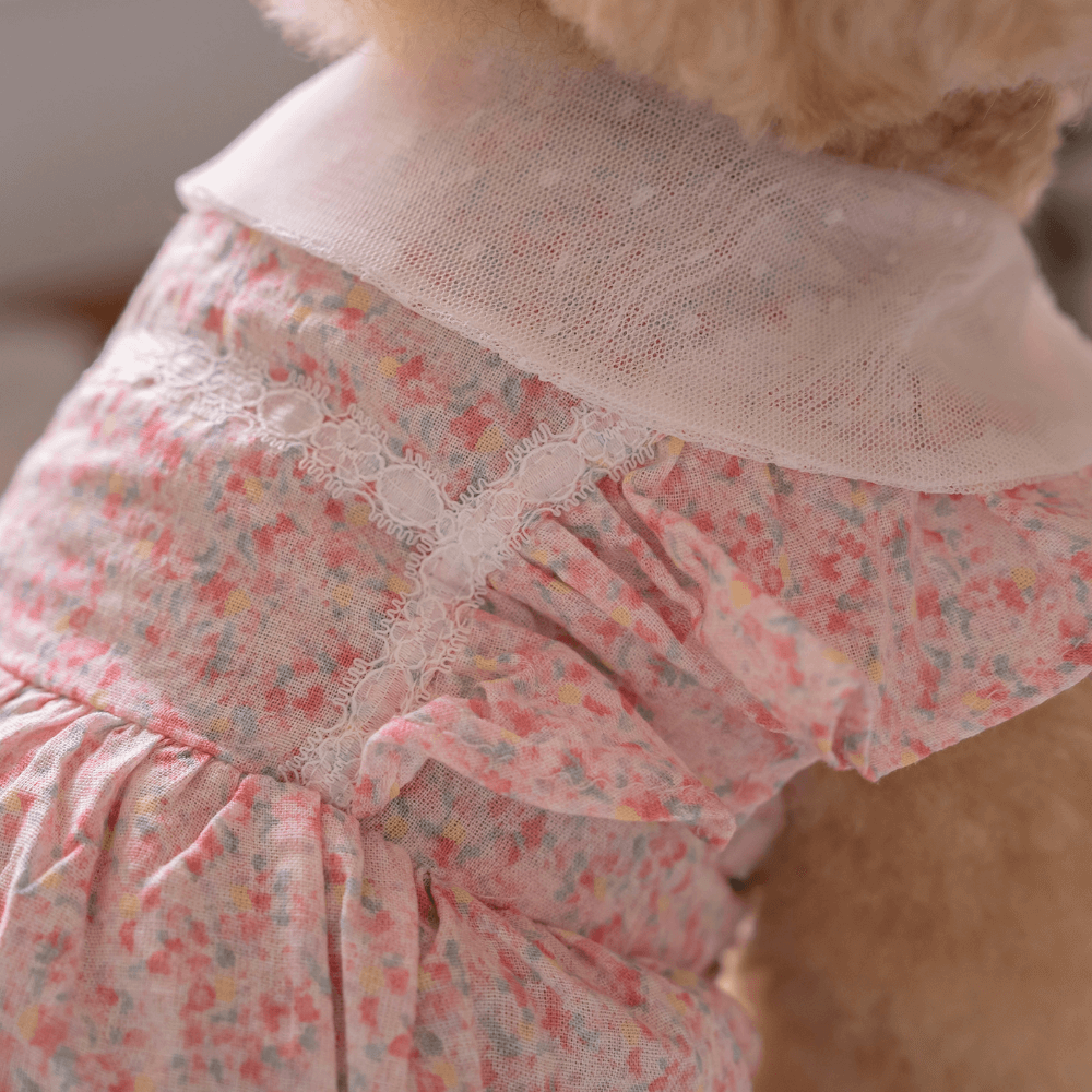 【予約】New Fairy Dress