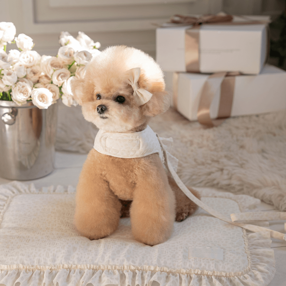 Leopard Pop Cafe Mat (2color)