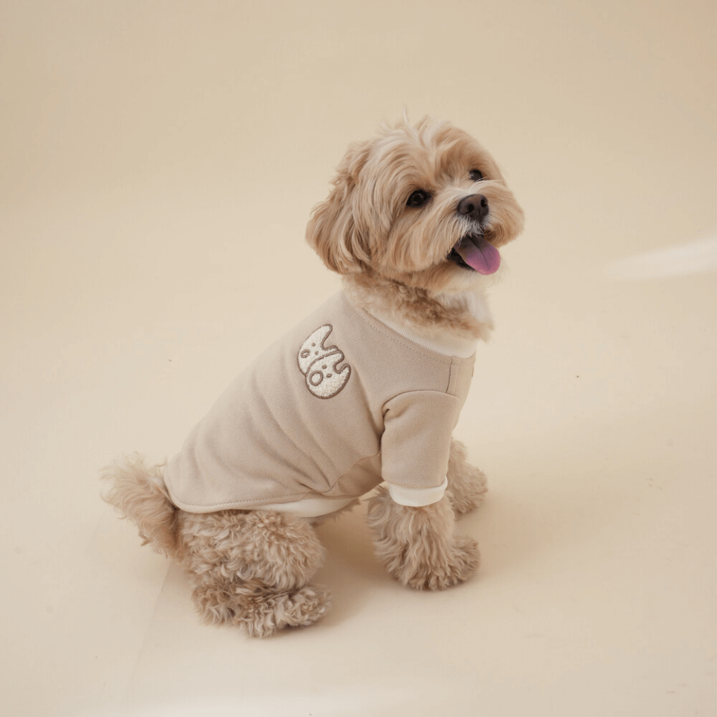 Organic Sweatshirt (2color)