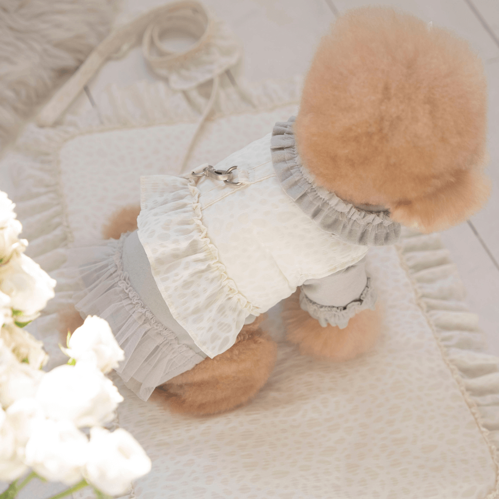 Leopard Pop Leash (white)