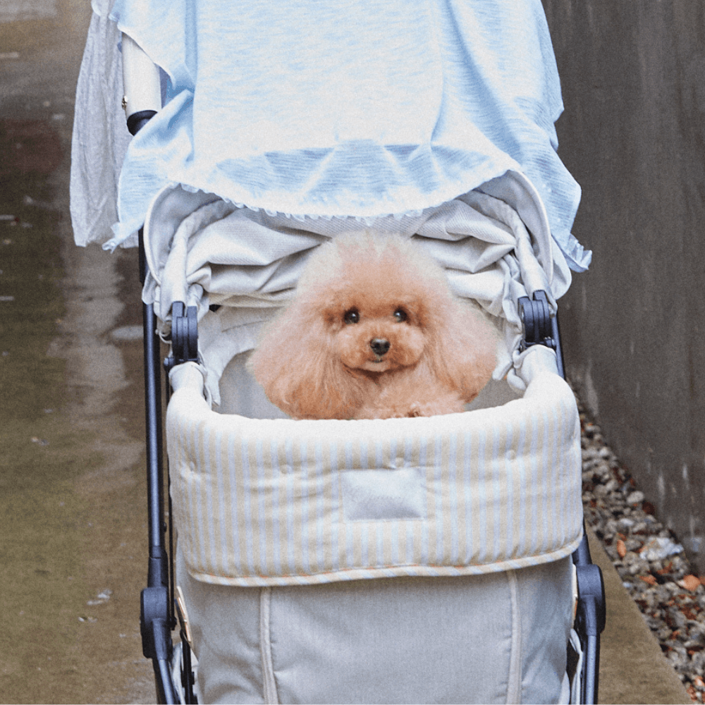 【予約】Buggy Puff (Yellow)