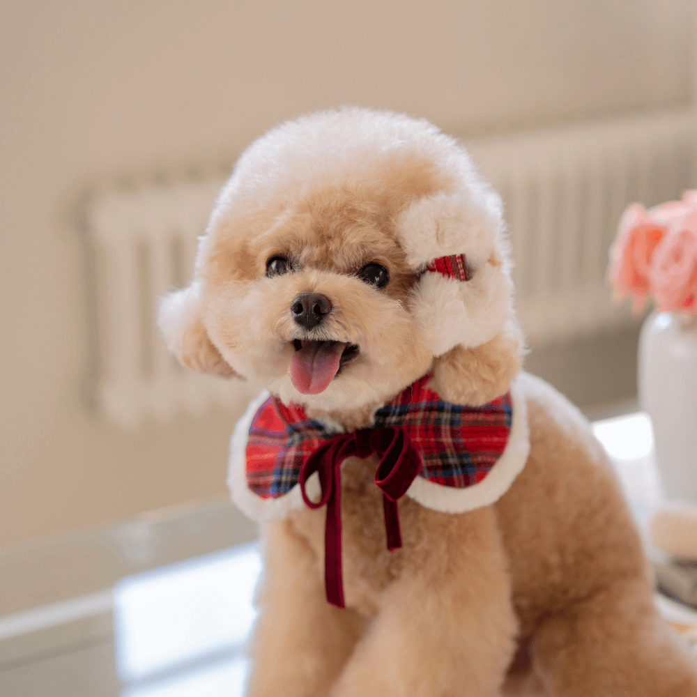 Merry Check Fur Cape（Red）