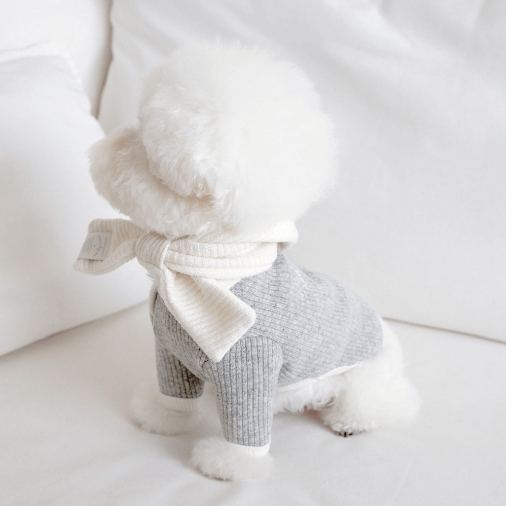 palette wool knit top (light mellange)