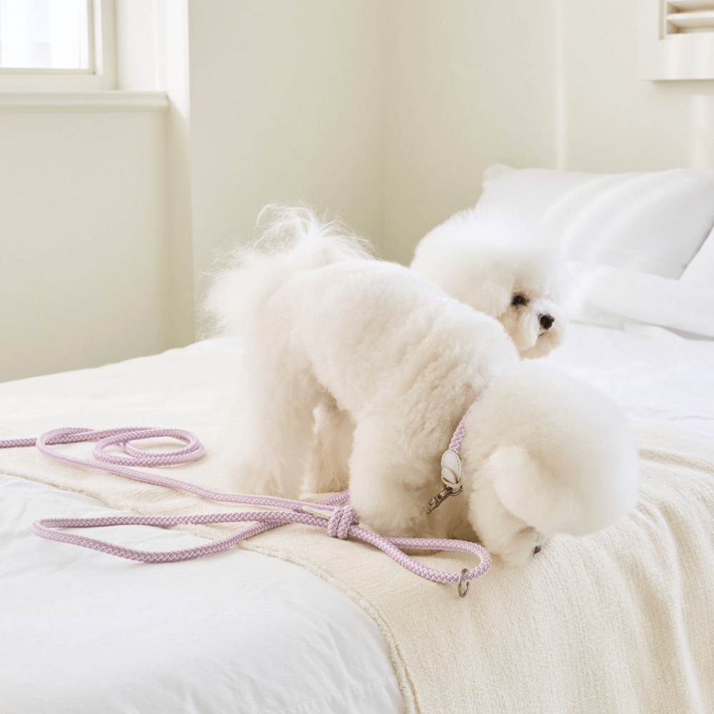 Classic Leash 1.8m 手持ちリード(ライラック)