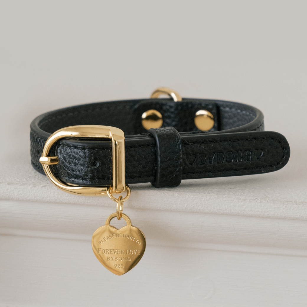 DELIGHT COLLAR（ブラック）