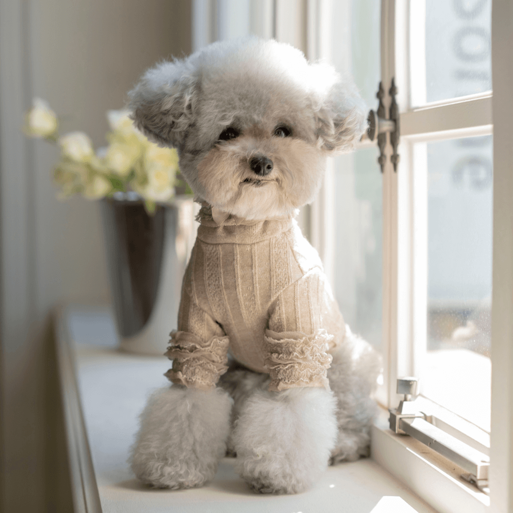 7th Limited Edition Lace Turtleneck(Latte)