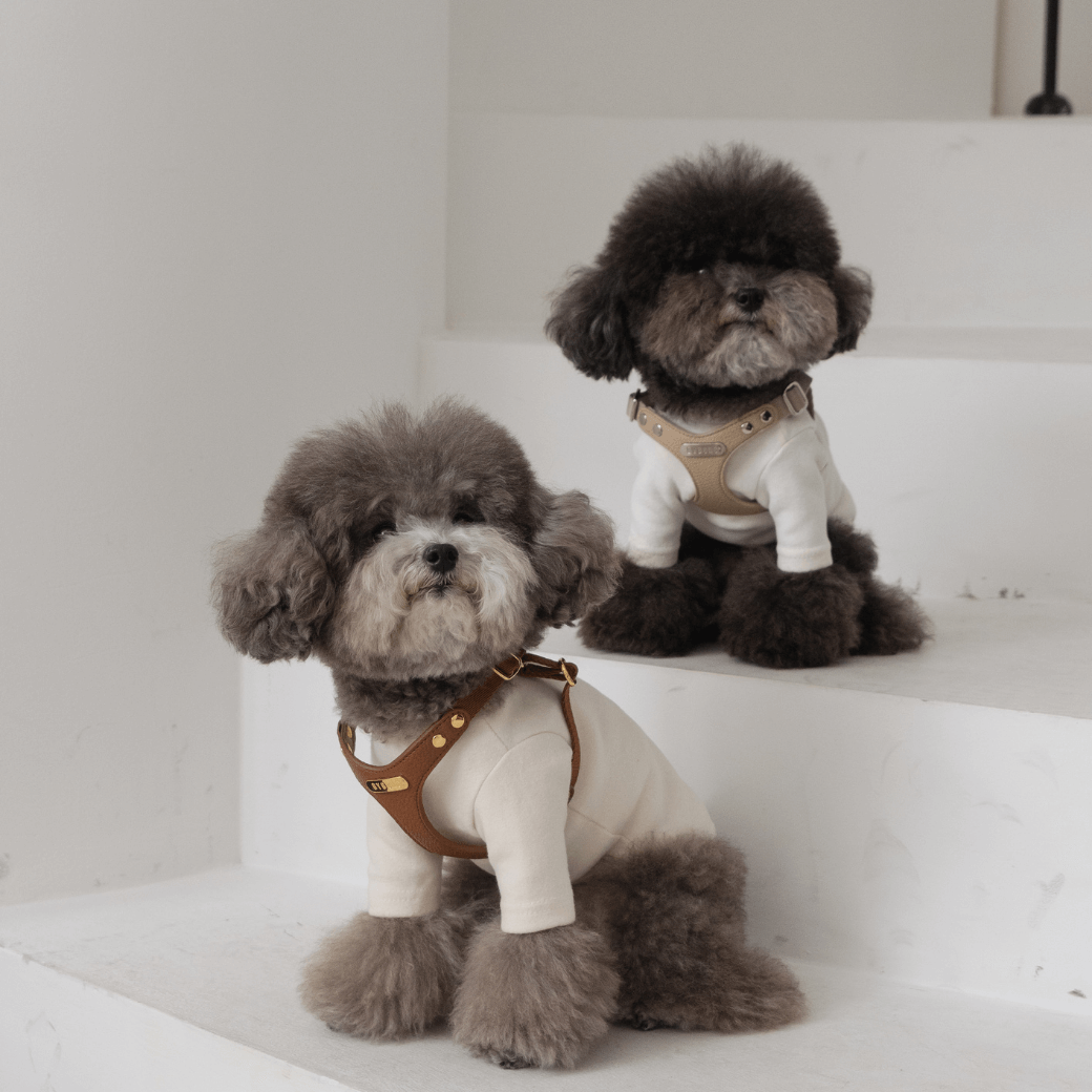 DELIGHT HARNESS(キャメル)