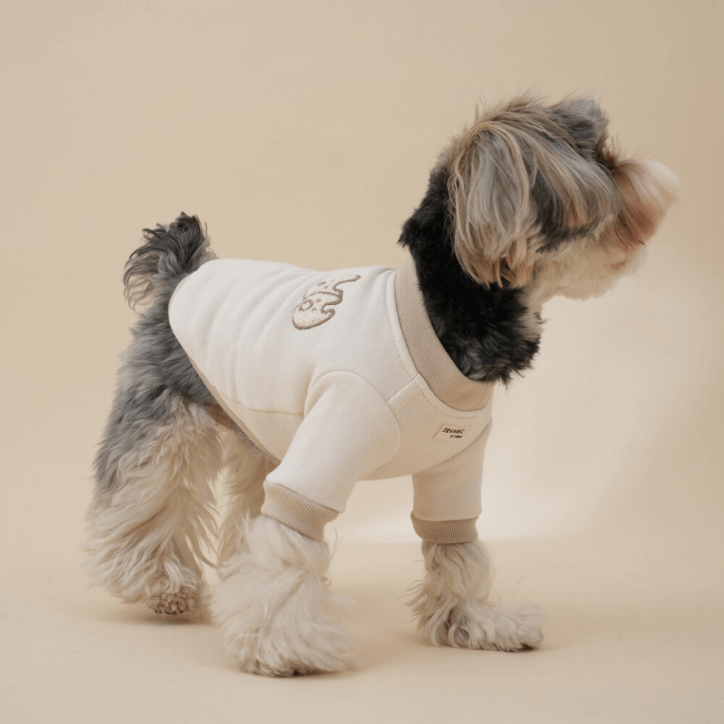 Organic Sweatshirt (2color)