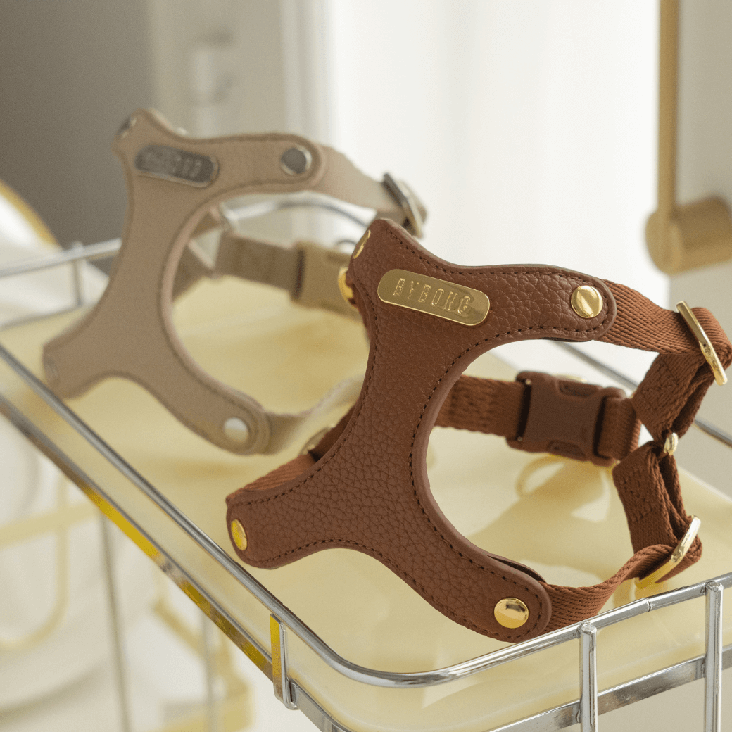 DELIGHT HARNESS(キャメル)