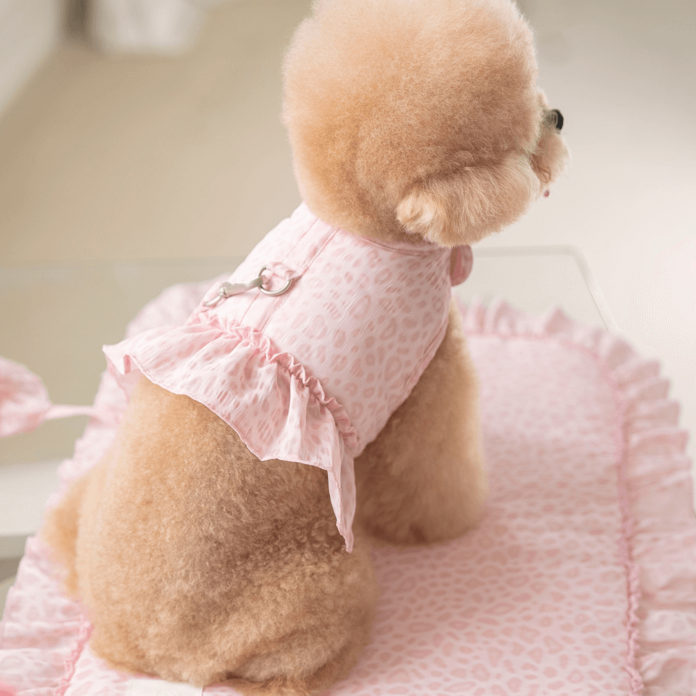 【予約】Leopard Pop Harness (pink)