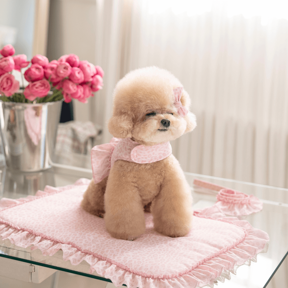 Leopard Pop Leash (pink)